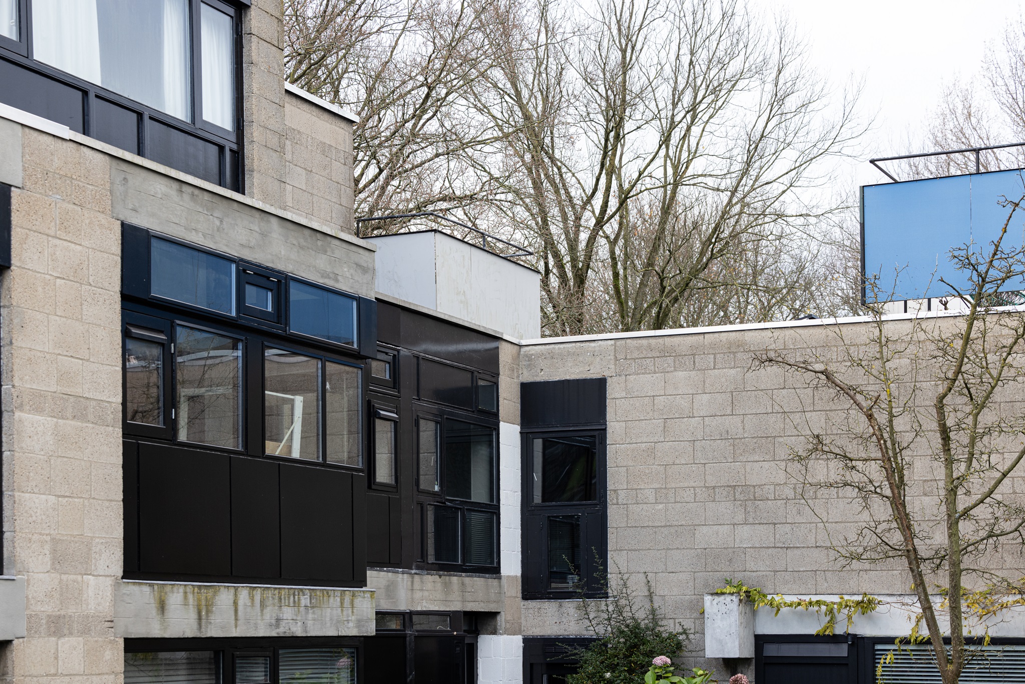 Diagoon Mqq 7981 Klein Gemaakt